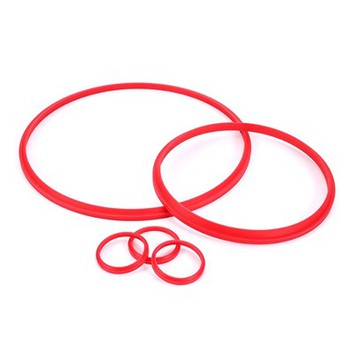 Hydraulic Dust Seals